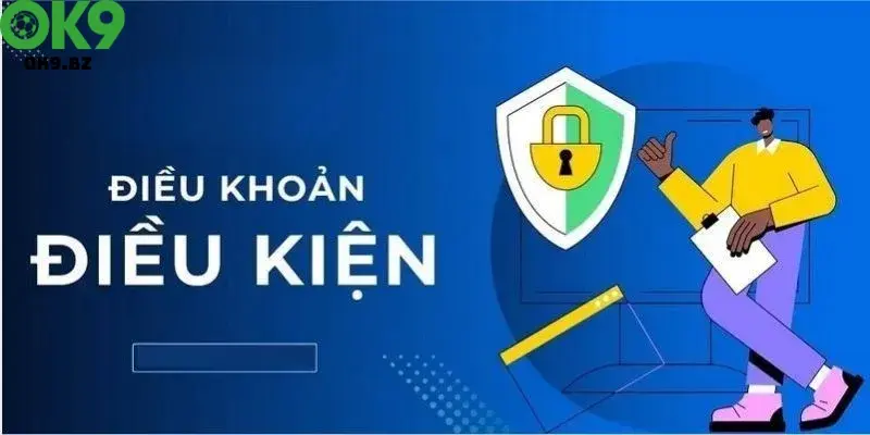 Một số lưu ý trong điều khoản điều kiện của OK9
