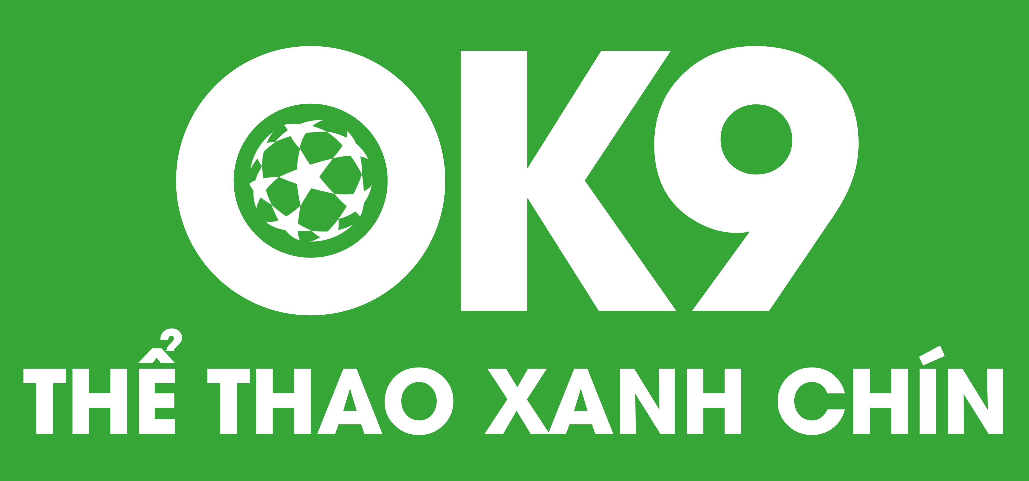 logo ok9 2