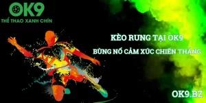 ảnh đại diện kèo rung ok9