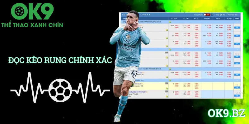 Đọc kèo rung trên bảng tỉ lệ sao cho chuẩn xác nhất