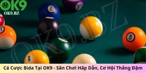 cá cược bida tại OK9