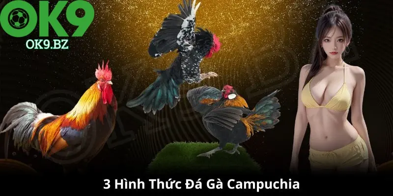 3 hình thức đá gà Campuchia nổi tiếng tại OK9