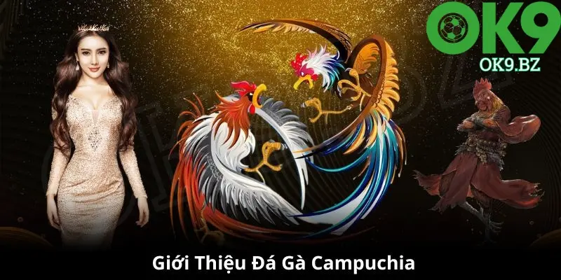 Giới thiệu đá gà Campuchia tại OK9