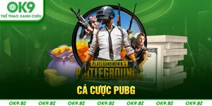 ảnh đại diện cá cược pubg