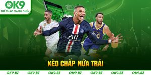 ảnh đại diện kèo chấp nửa trái