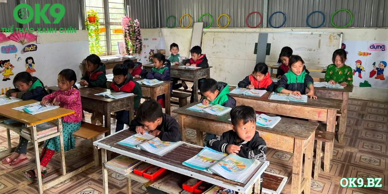 Hình ảnh về các hoạt động từ thiện của OK9