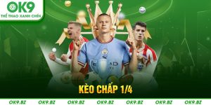 ảnh đại diện kèo chấp 1/4