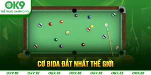 ảnh đại diện cơ bida đắt nhất thế giới