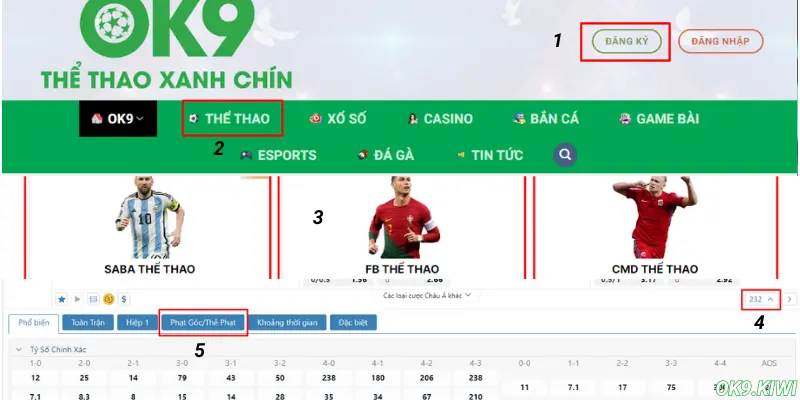 Hướng dẫn chi tiết cách đặt cược cho newbie